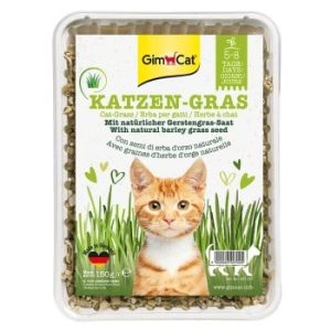 GimCat Katzen-Gras - trava za mace 150g